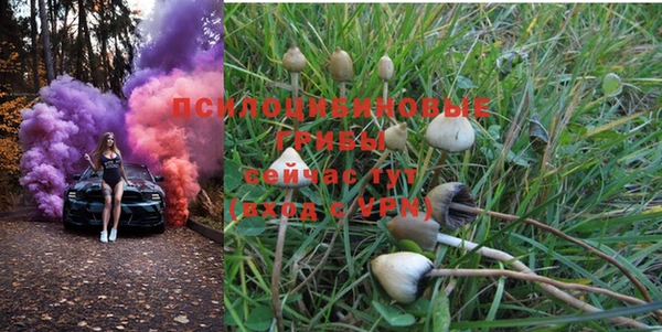MDMA Бугульма
