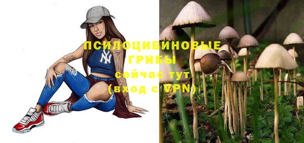 PSILOCYBIN Богданович
